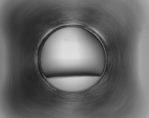 X0000100231460200805300716