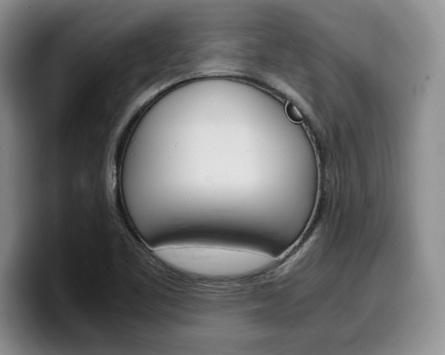 X0000100231461200805300716