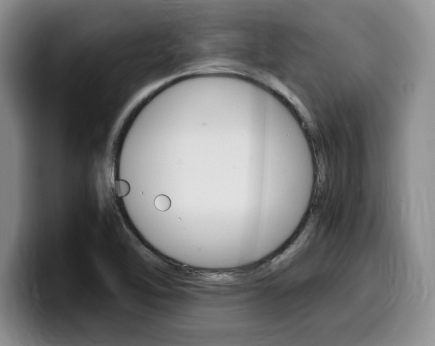 X0000100231462200805300716