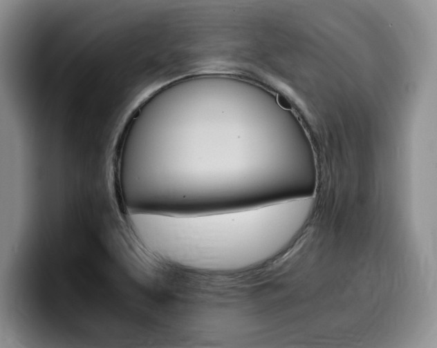 X0000100231463200805300716