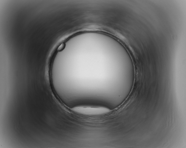 X0000100231464200805300716
