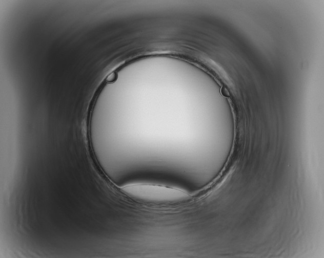 X0000100231465200805300716