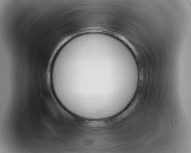 X0000100231466200805300716
