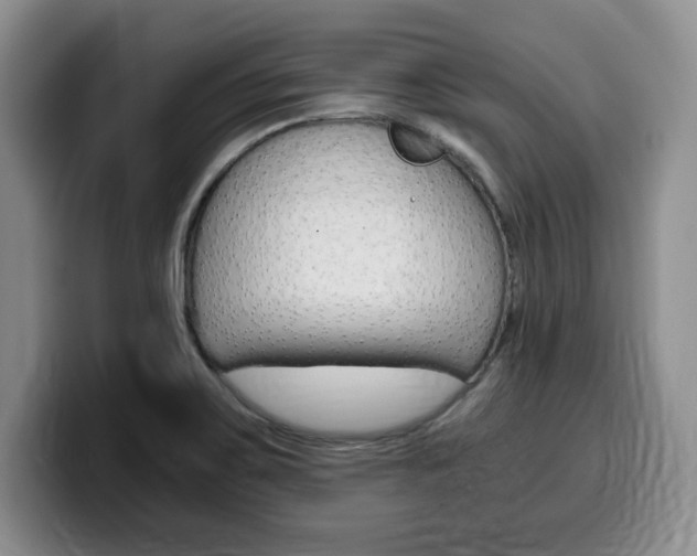 X0000100231467200805300716