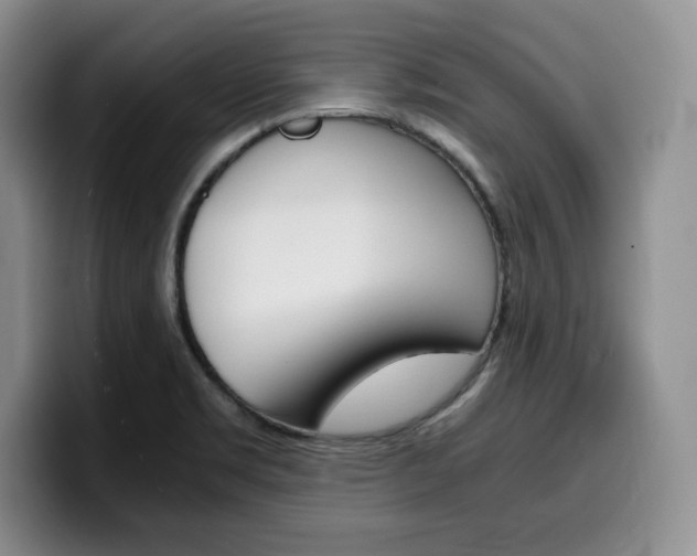 X0000100231469200805300716