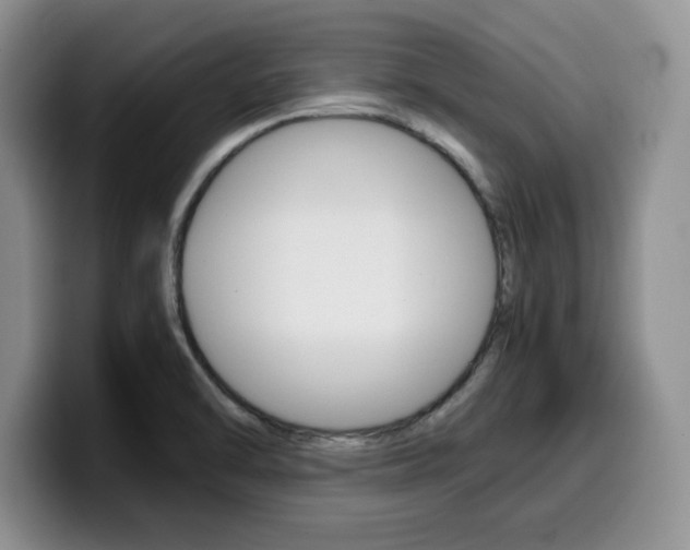 X0000100231470200805300716