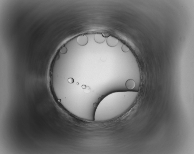 X0000100231471200805300716