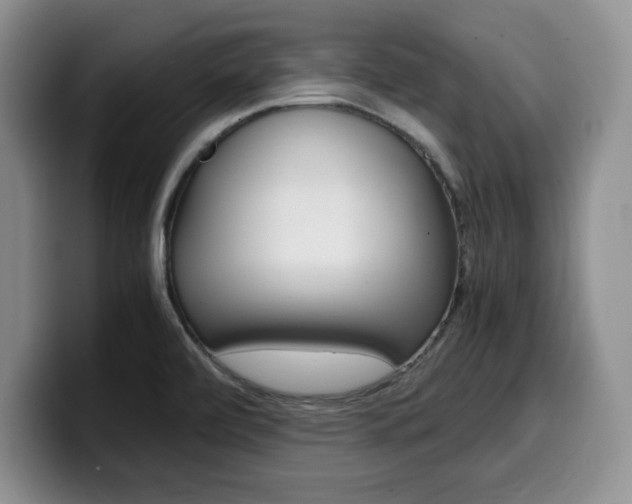 X0000100231472200805300716