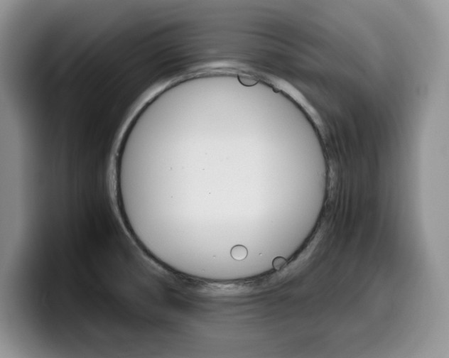 X0000100231474200805300716