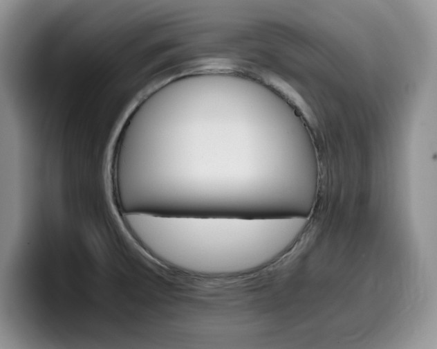 X0000100231475200805300716