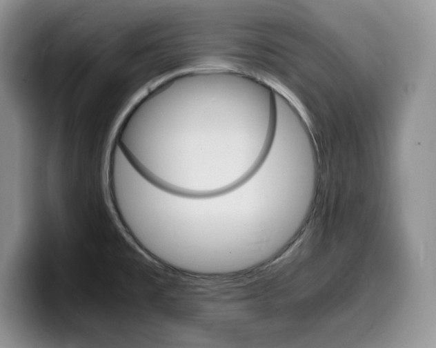 X0000100231477200805300716