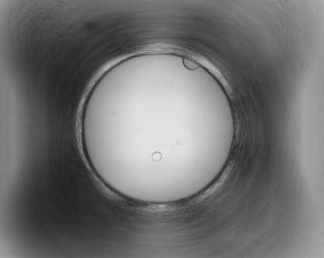 X0000100231478200805300716