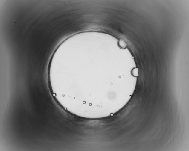 X0000100231479200805300716