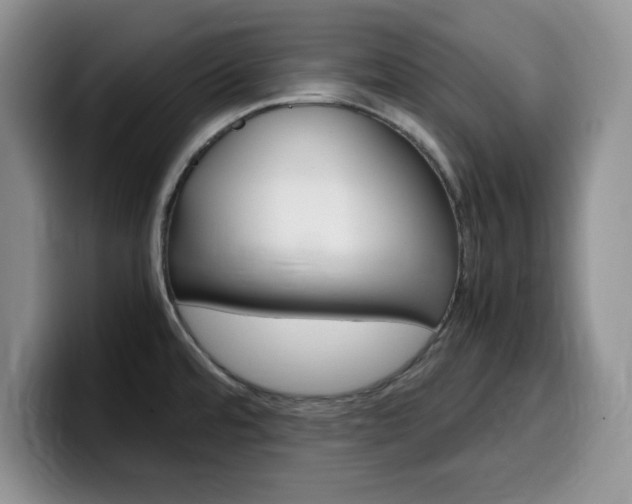 X0000100231480200805300716