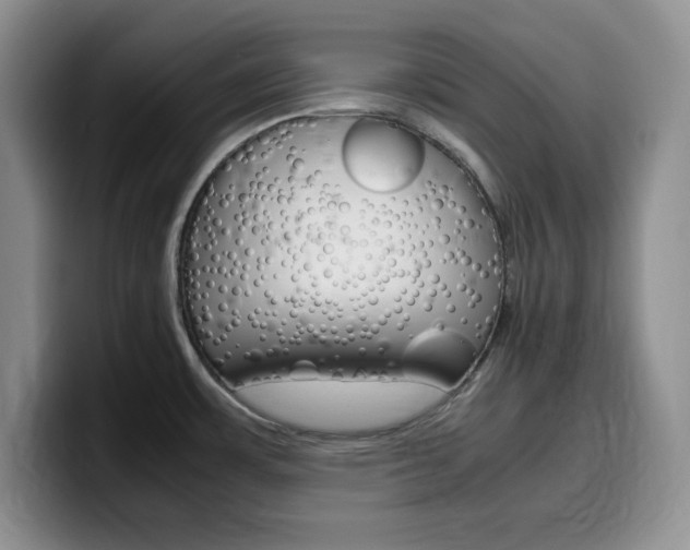 X0000100231483200805300715