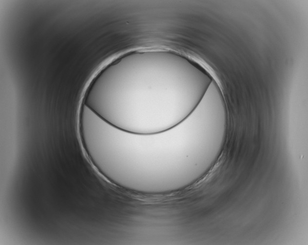 X0000100231485200805300715