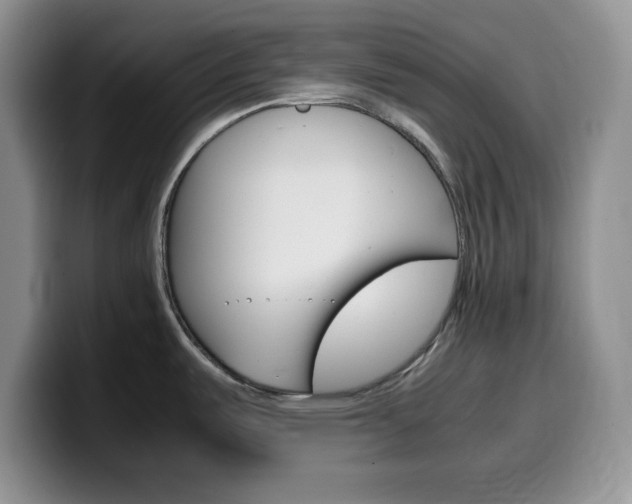X0000100231487200805300715