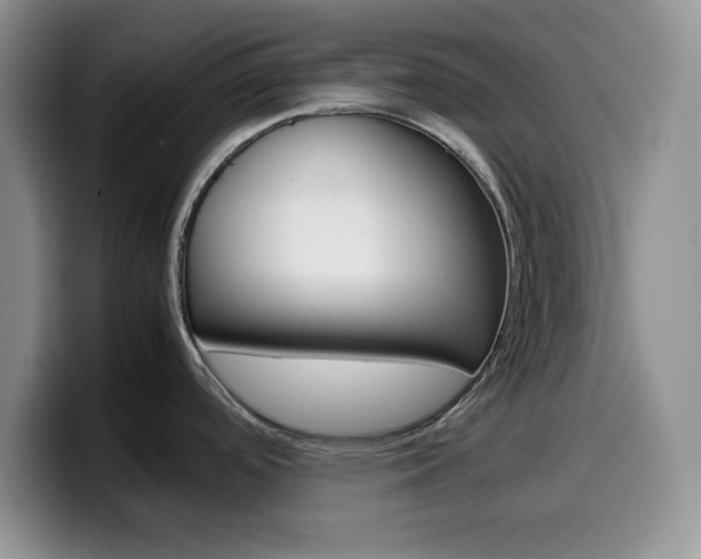 X0000100231488200805300715