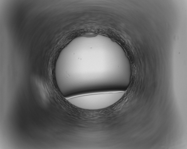X0000100231489200805300715