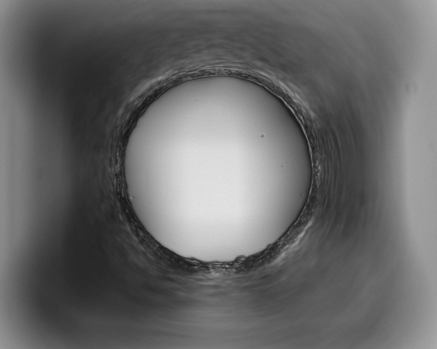 X0000100231494200805300715