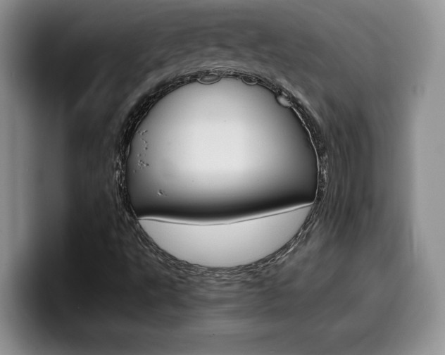 X0000100231495200805300715