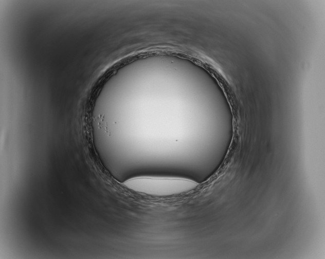 X0000100231496200805300715