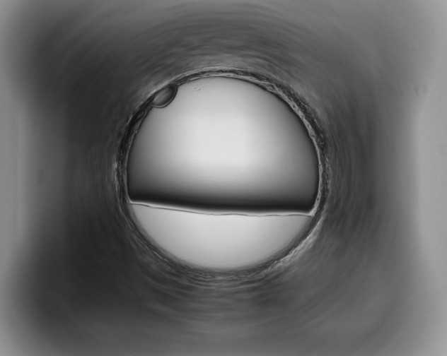 X0000100231497200805300715