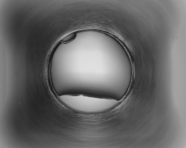X0000100231500200805300715
