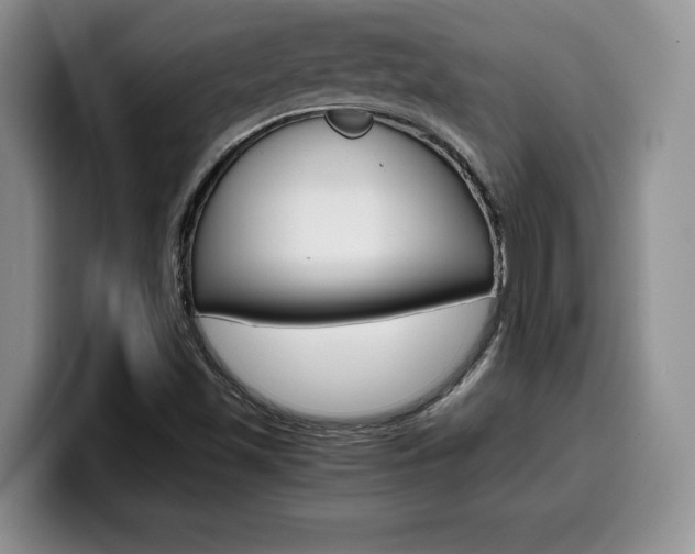 X0000100231501200805300715
