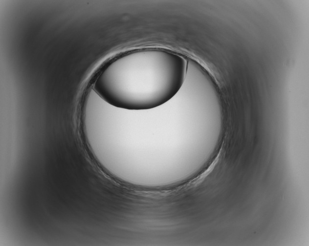 X0000100231502200805300715