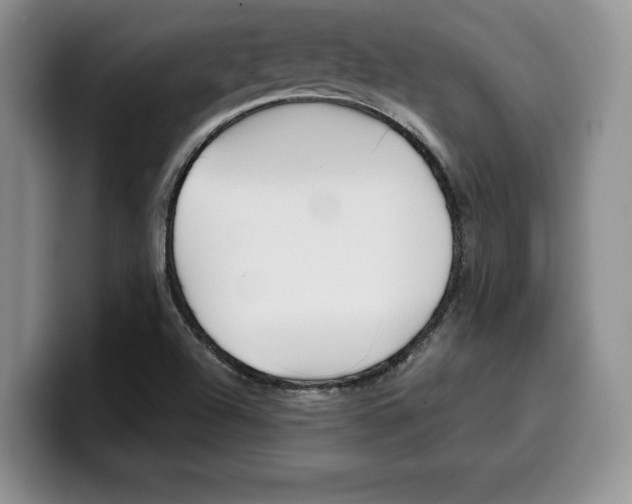 X0000100231504200805300715