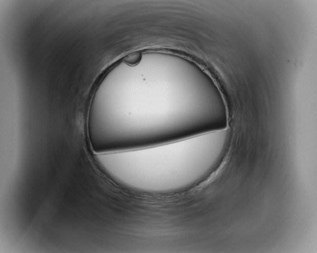 X0000100231505200805300715
