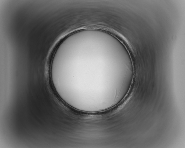 X0000100231506200805300715