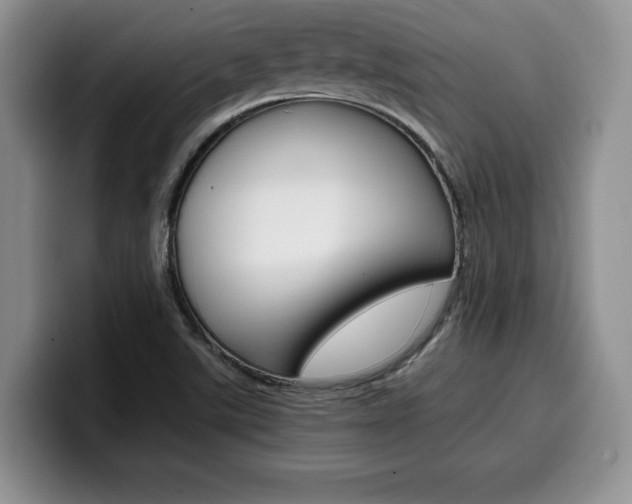 X0000100231507200805300715