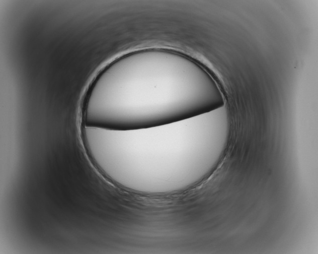 X0000100231508200805300715
