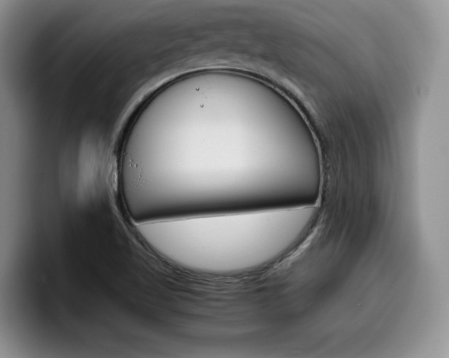 X0000100231509200805300715