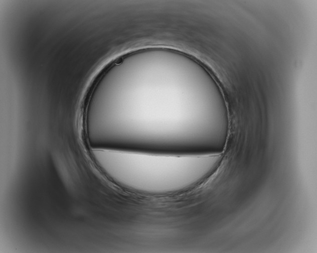 X0000100231511200805300715