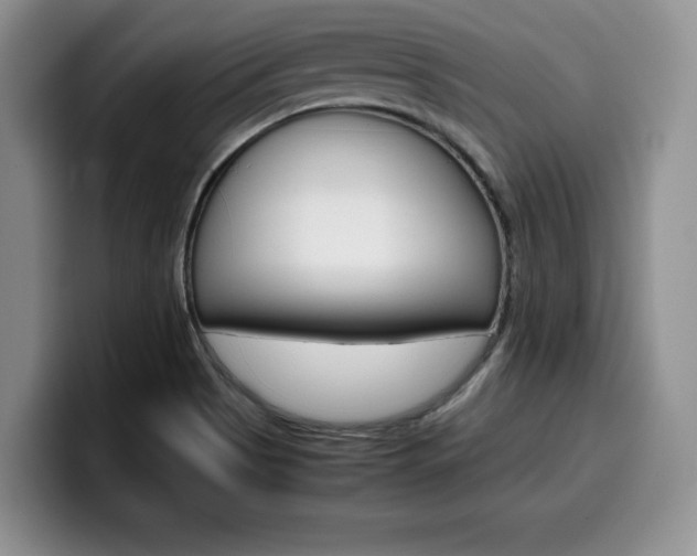 X0000100231513200805300715