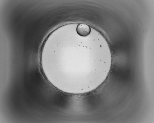 X0000100231514200805300715