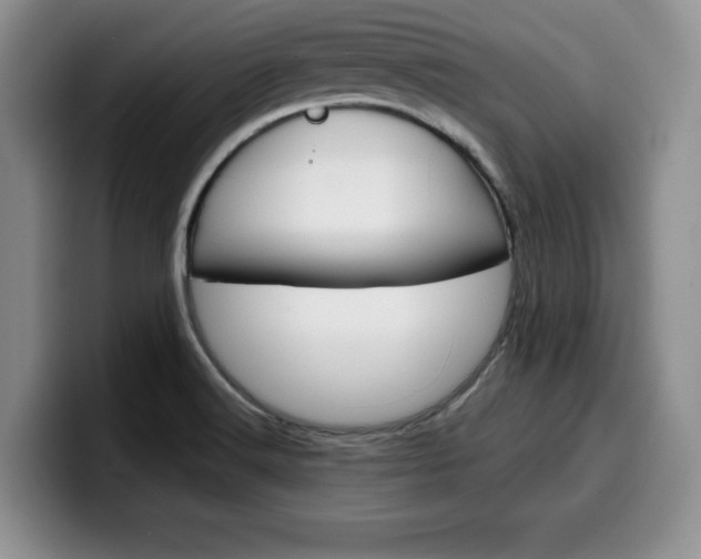 X0000100231516200805300715