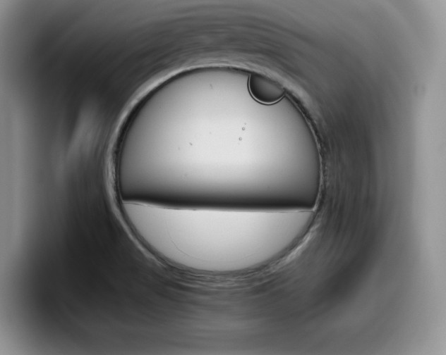 X0000100231517200805300715