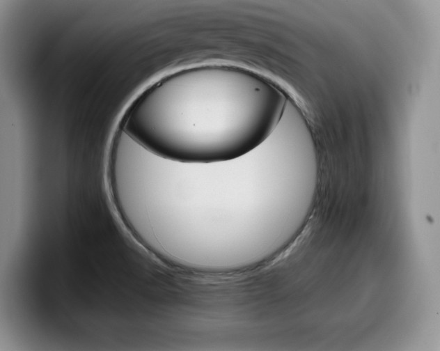 X0000100231518200805300715