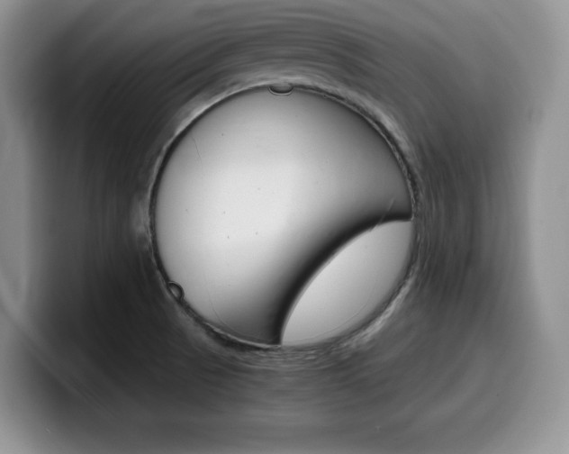 X0000100231521200805300715