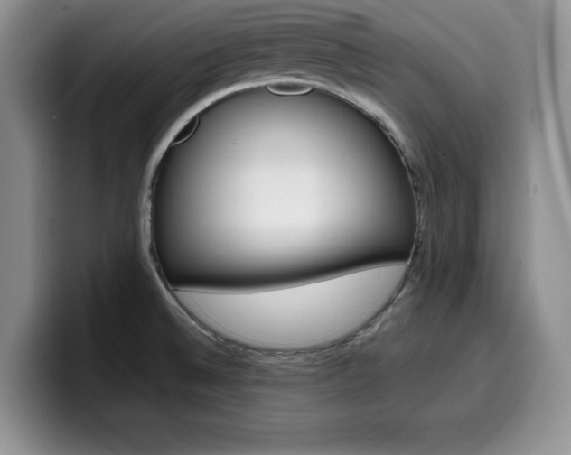 X0000100231524200805300715