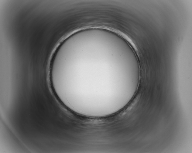 X0000100231525200805300715