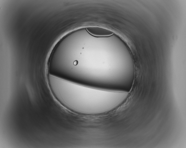 X0000100231527200805300715