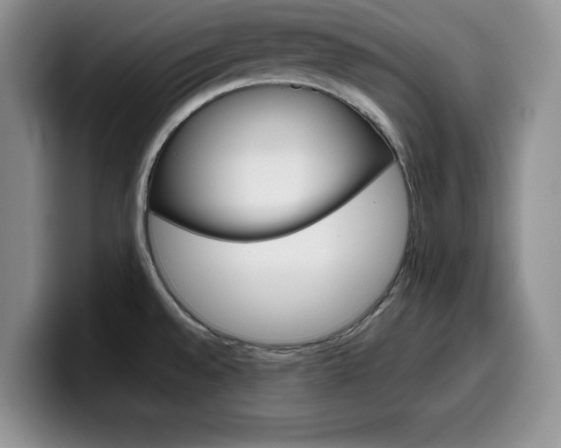 X0000100231528200805300715