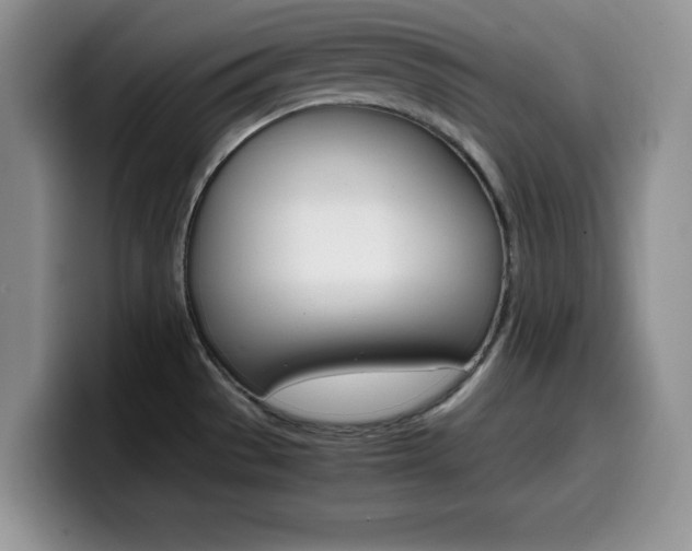 X0000100231529200805300715