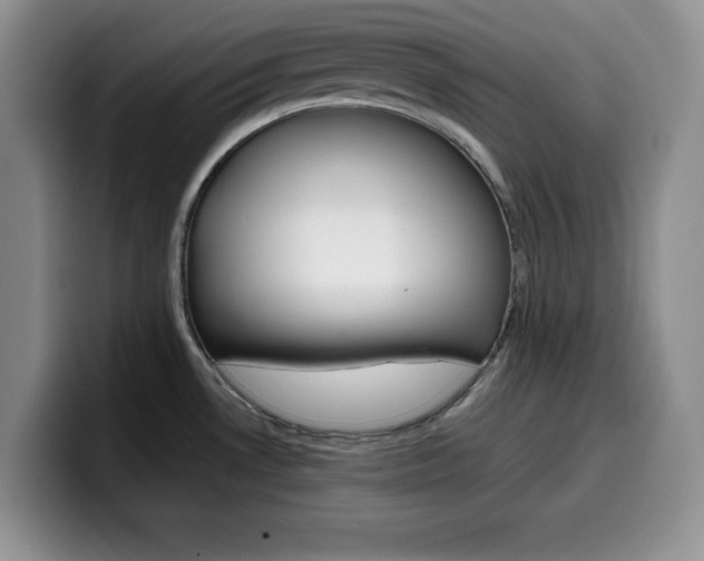 X0000100231530200805300715
