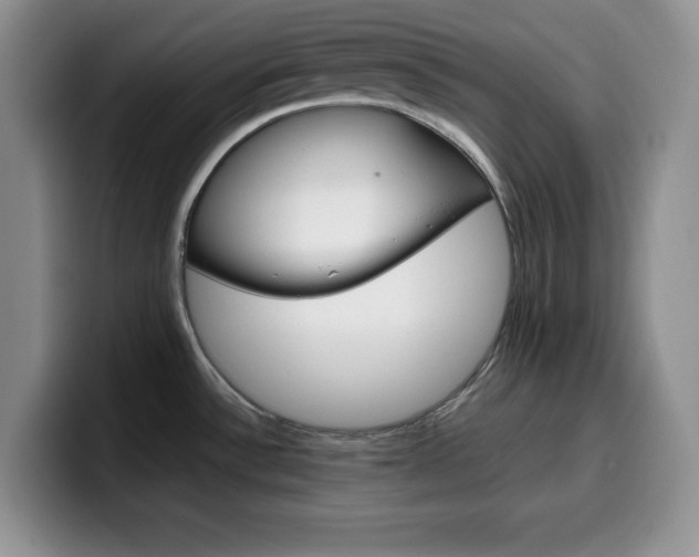 X0000100231532200805300715